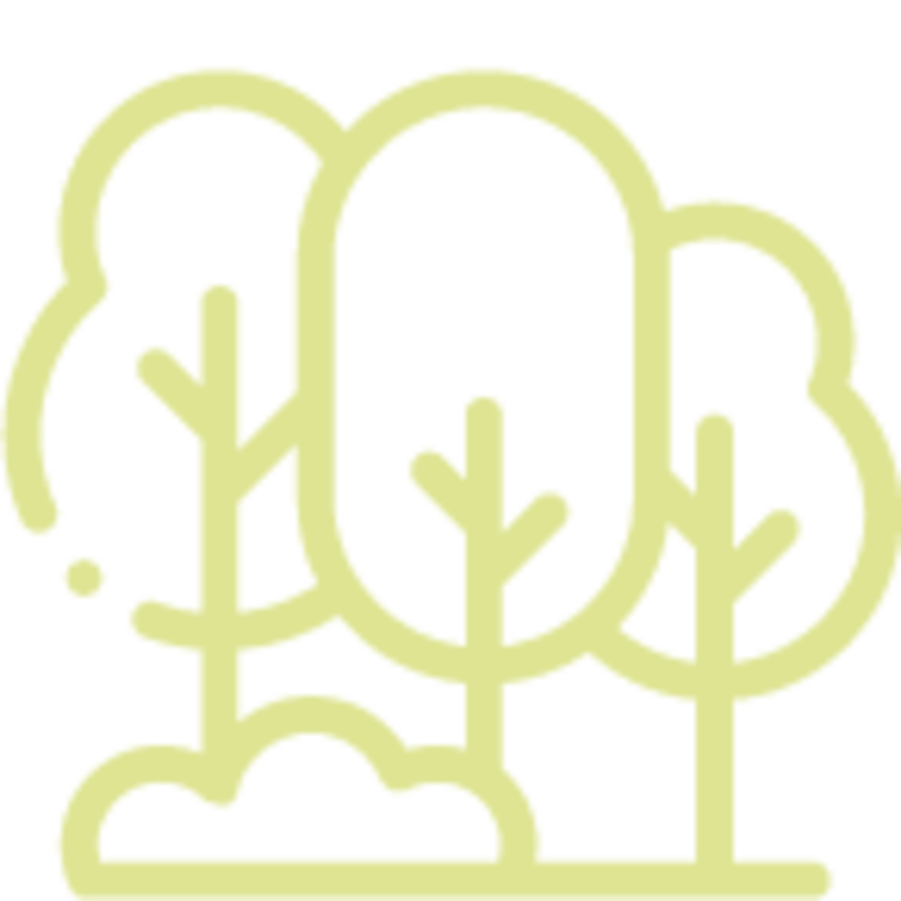 stats icon voor stadsbomen van paspoort voorzien  1440