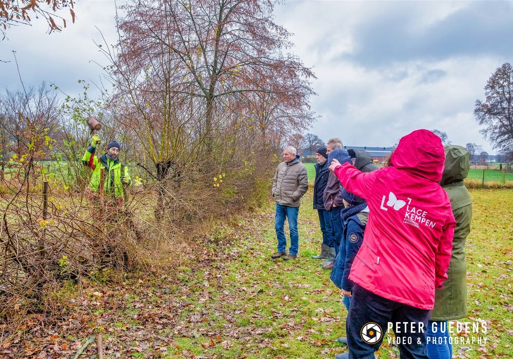Heggen Leggen | Workshop Regionaal Landschap Lage Kempen | November - December 2021