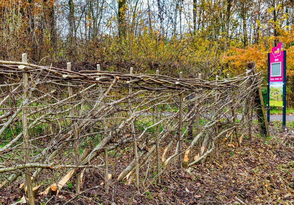 Heggen Leggen | Workshop Regionaal Landschap Lage Kempen | November - December 2021